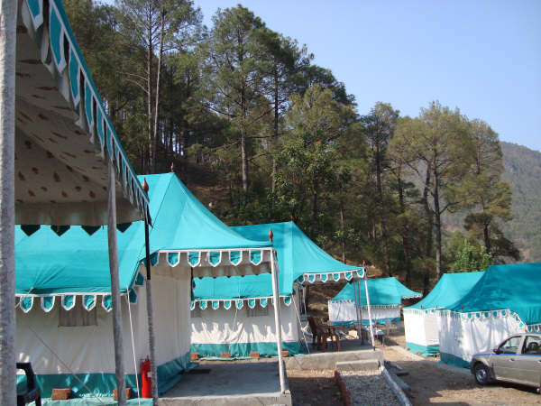 Camp Nirvana